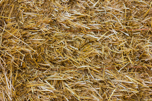 istock Close up of ground. Texture straw or hay 611110124