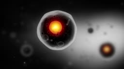 Human Cell With Nuscleus Animation Stock Video - Download Video Clip Now - Protein, Damaged, Merging - iStock Human Cell With Nuscleus Animation Stock Video - Download Video Clip Now - Protein, Damaged, Merging - iStock
