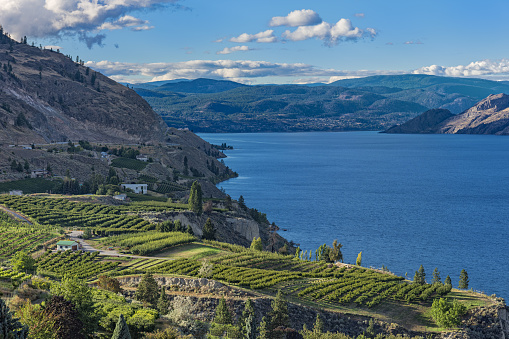 Okanagan Lake near Summerland British Columbia Canada with orchard and vineyard in the Foreground