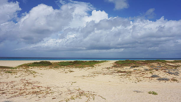 istock beach of santa maria 611175094