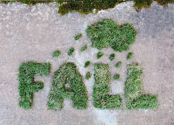 Word FALL made of dried green grass with cloud and stock photo