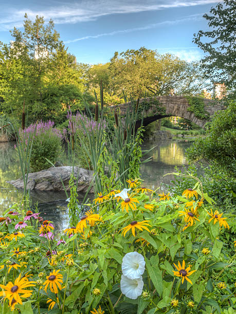 istock Gapstow bridge Central Park, New York City 611178254