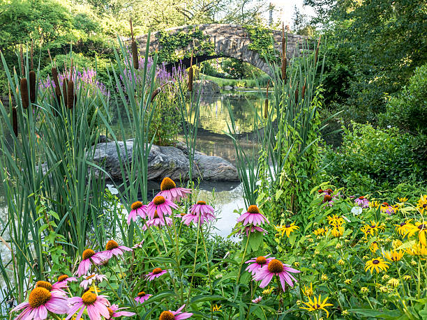 istock Gapstow bridge Central Park, New York City 611178308