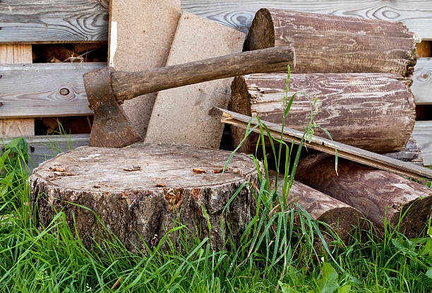 Old ax in the wooden, cracked tree stump on a stock photo