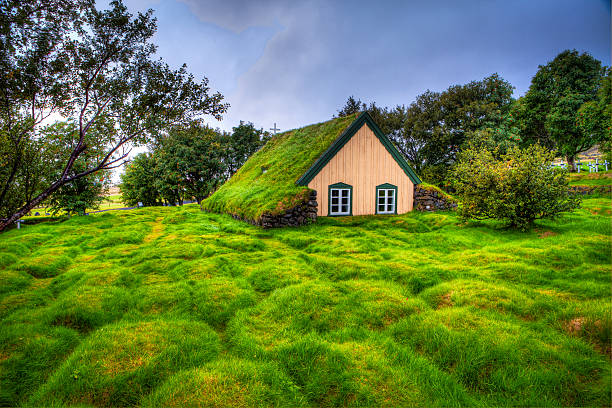istock Hofskirkja, Iceland 611179860