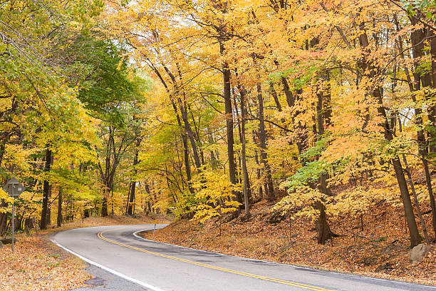 istock Country Road in Autumn 611181864