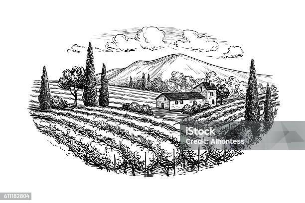 Hand Drawn Vineyard Landscape Stock Illustration - Download Image Now - Vineyard, Engraving, Landscape - Scenery