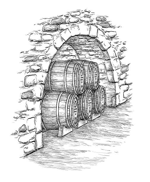 Vector illustration of wine cellar. Ancient cellar with wine wooden barrels. Isolated on white background. Hand drawn vector illustration. wine and oenology graphic stock illustrations