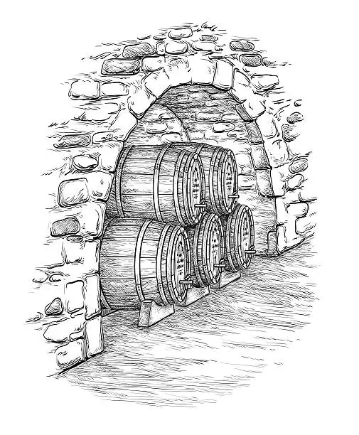 Vector illustration of Vector illustration of wine cellar.