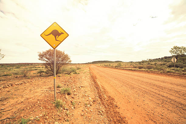 Kangaroo crossing sign Kangaroo warning sign in the outback, Northern territory, Australia. kangaroo crossing sign stock pictures, royalty-free photos & images