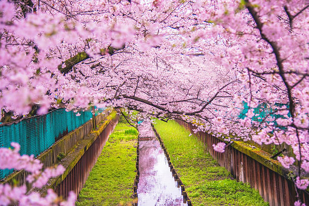 istock 