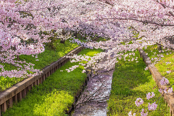 istock 