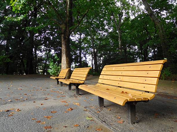 istock The benches on the playground after the rain 611197782