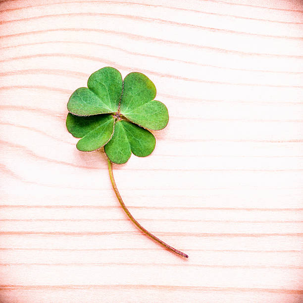 istock Toned of clovers leaves on wooden background . 611198708