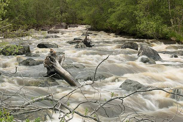 istock river in tundra above Arctic Circle, Russia 611198800