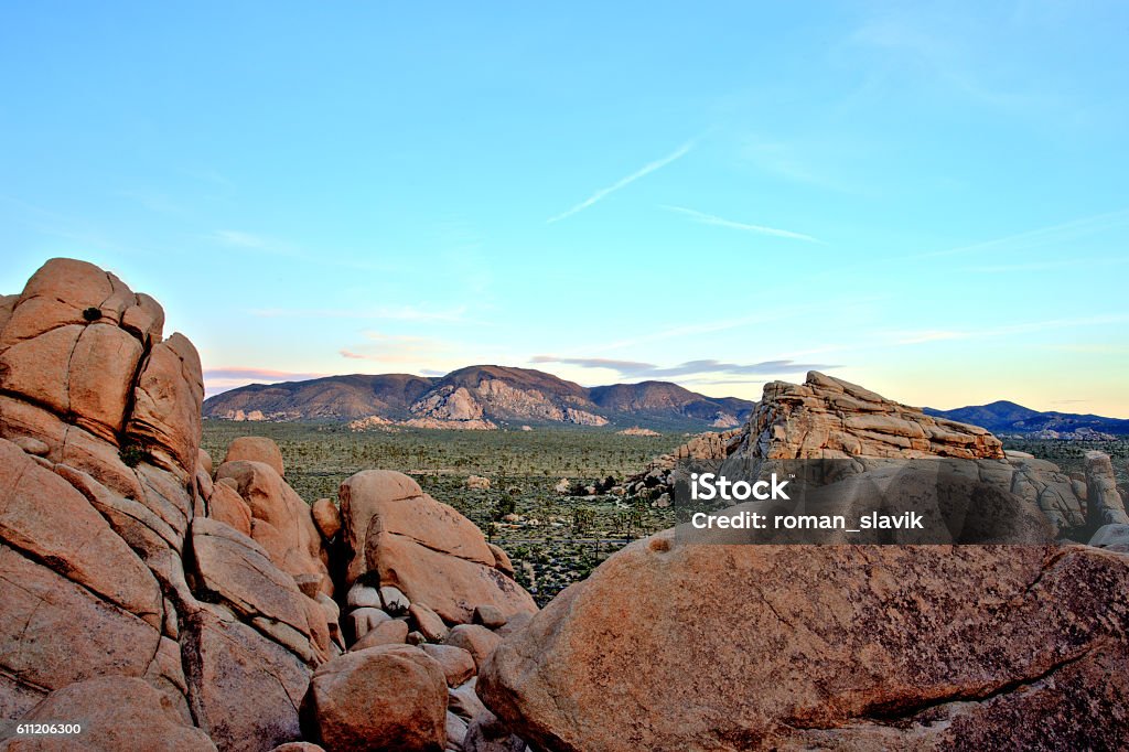 Overview of Joshua Tree National Park at Sunset, USA American Culture Stock Photo