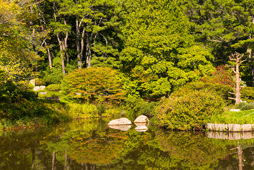 Leaves, trees and shrubbery are reflected in a pond  as they beginning to turn colors.