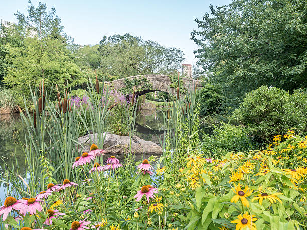 istock Gapstow bridge Central Park, New York City 611208448