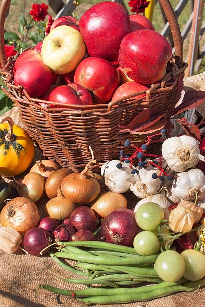 istock Vegetables and apples in a basket. Autumn day 611210628