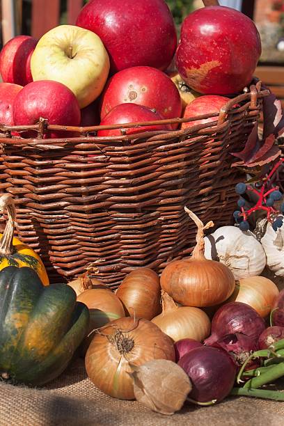 istock Vegetables and apples in a basket. Autumn day 611210716