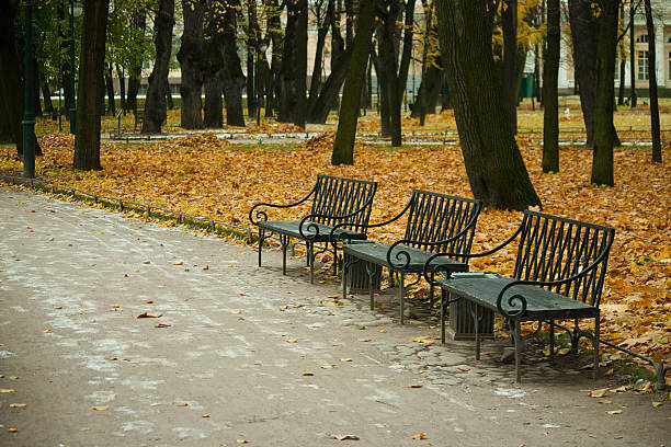 istock Deep autumn in park, trees and yellow leafs 611211918