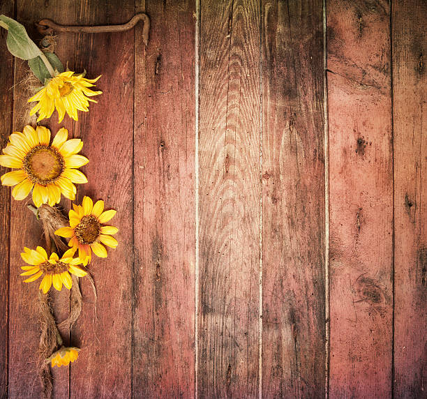 istock Rustic Sunflowers and an Old Barn Wood Door Background Horizontal 611213294