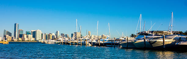 istock Miami Florida city skyline morning with blue sky 611214074