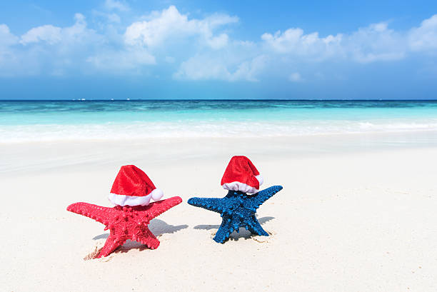 istock Two starfish standing on tropical beach with santa hat 611287998