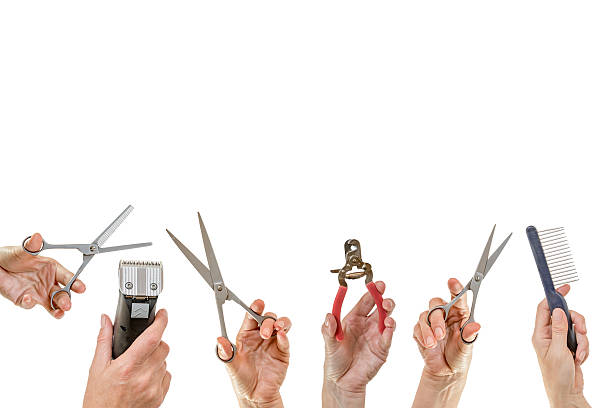 istock Hands holding equipment for pets grooming isolated 611288760