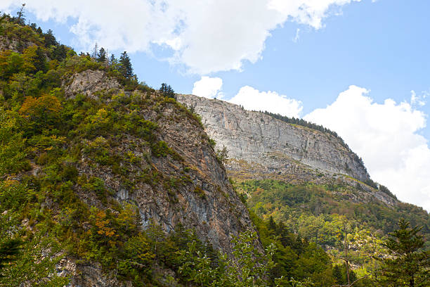 istock the immensity of the mountains with a forest 611288934