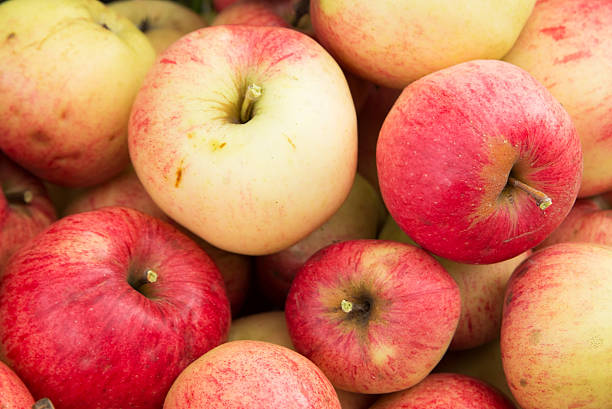 istock Group of fresh red apples, background. Harvest 611289070