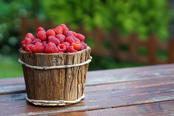 Fresh organic ripe raspberry. Nature background.