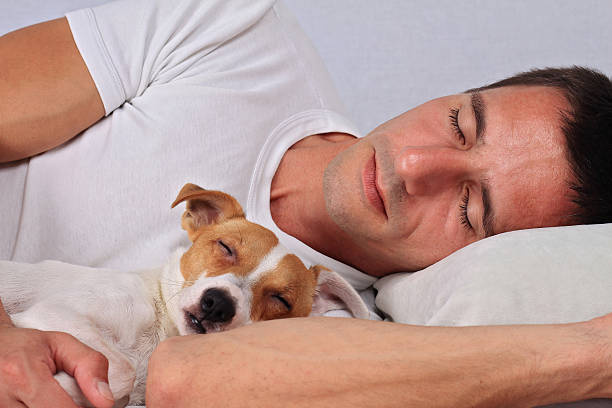 istock Man and dog sleeping together. Pet Allergies concept 611290848