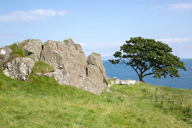istock Rock and Tree, Murlough Beach; County Antrim 611291202