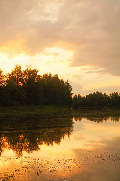 Pond in the countryside in autumn at sunset