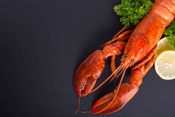 Canadian lobster food on gourmet dinner background