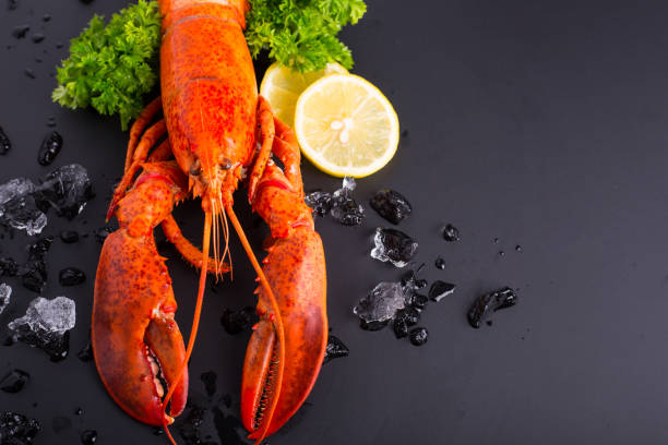 istock Canadian lobster food 611291624