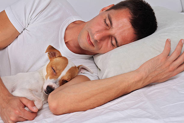 istock Man and dog sleeping together. Pet Allergies concept 611292522