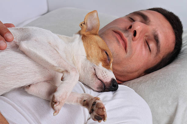 istock Man and dog sleeping together. Pet Allergies concept 611293110