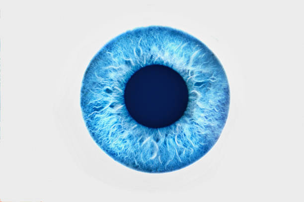 istock Closeup of blue eye on white background 611294904