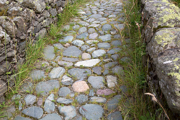 sentiero di pietra, watendlath; distretto dei lacuri - watendlath foto e immagini stock
