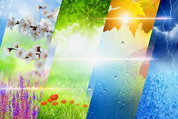 Four seasons of year collage
