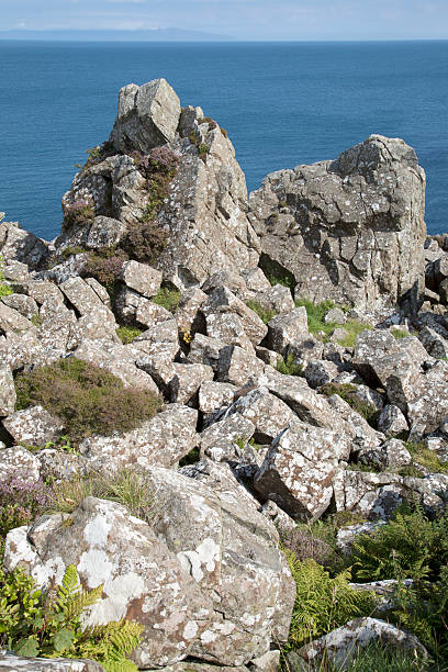 istock Rocks at Murlough Beach; County Antrim 611297394