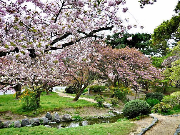 istock Park in Tokyo, Japan 611297494