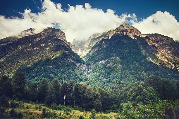 istock Mountains and forest Landscape with blue sky and clouds 611298684