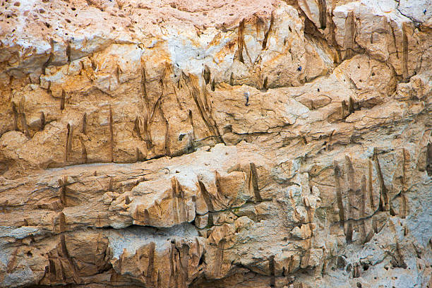 istock Tuff is a vulcanic stone.  close-up background texture 611299098