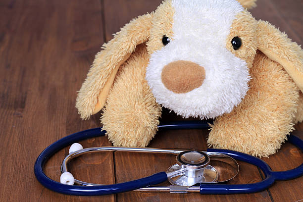 istock Dog toy and stethoscope on wooden table 611299322