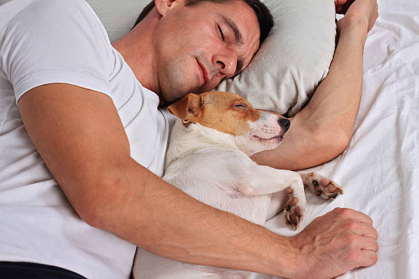 istock Man and dog sleeping together. Pet Allergies concept 611299566