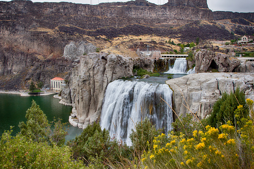 A view of the Shoshone Falls in Twin Falls Idaho showing the falls, dam, and foreground yellow wildflowers.