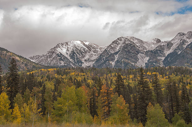 istock Fall Colors in Colorado Rockies 611300286